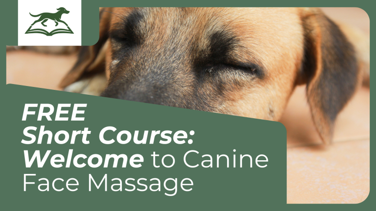 Intro to Canine Face Massage