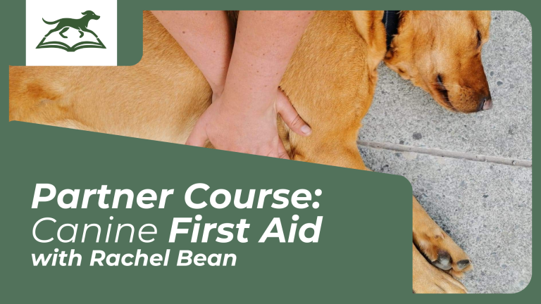 Canine First Aid (Partner Course)